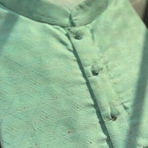 Pista Green Silk Kurta