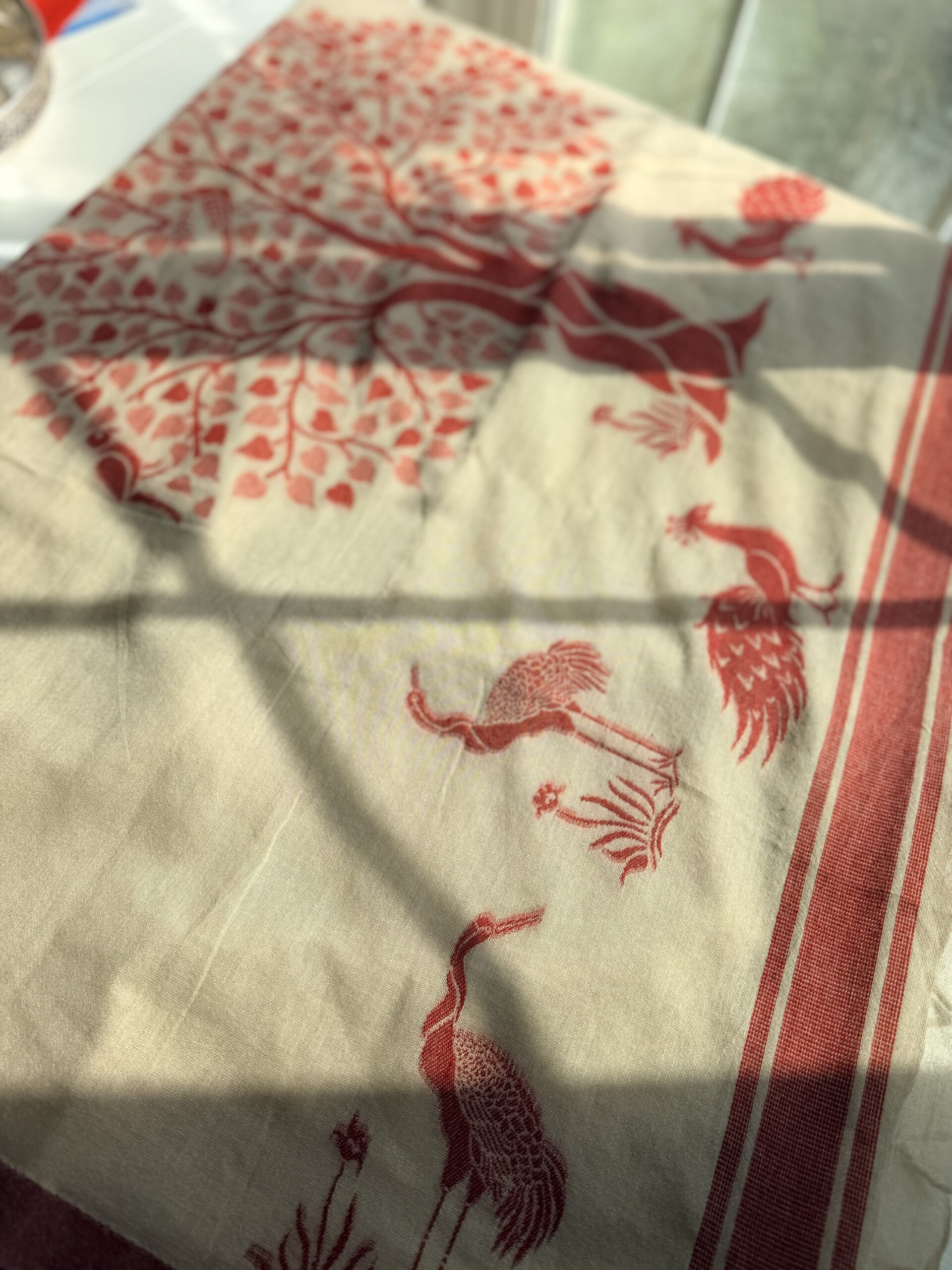 Beige & Maroon Mul Cotton Classic Saree ❤️ - Image 2