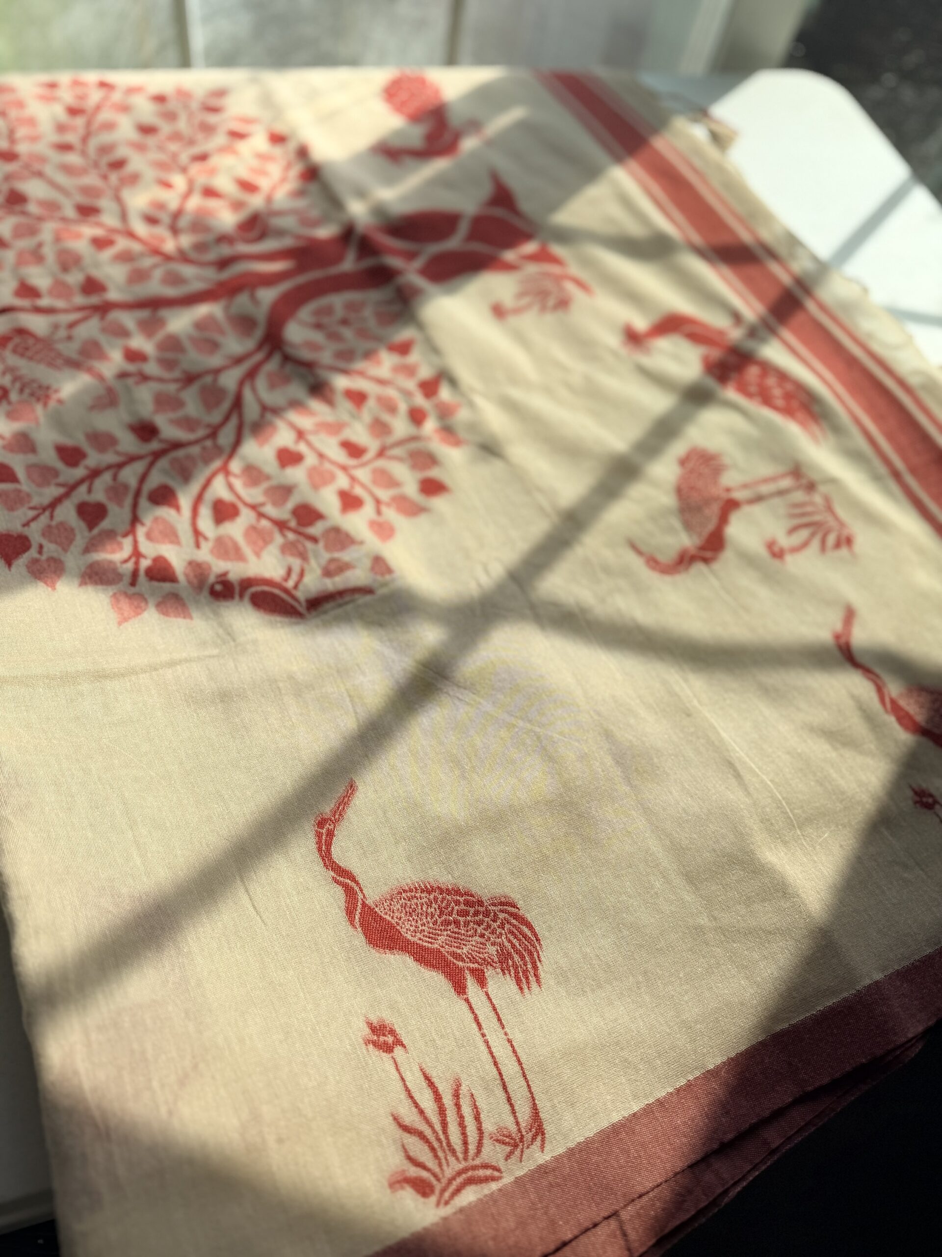 Beige & Maroon Mul Cotton Classic Saree ❤️